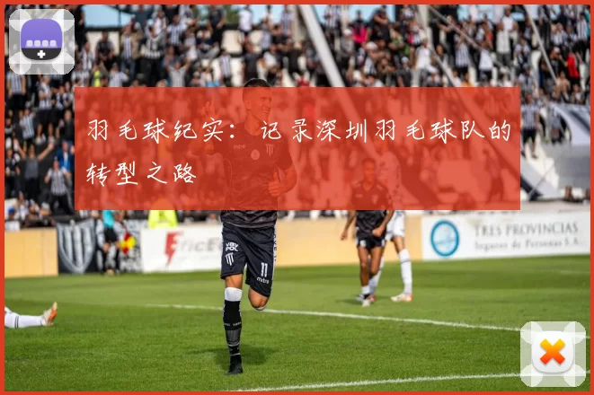 羽毛球纪实：记录深圳羽毛球队的转型之路