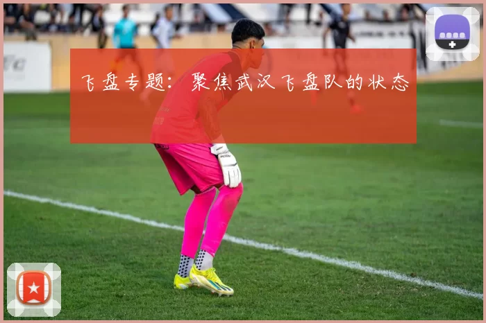 飞盘专题：聚焦武汉飞盘队的状态
