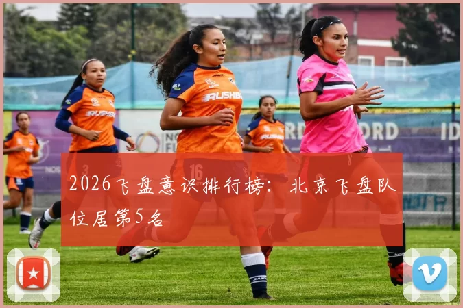 2026飞盘意识排行榜：北京飞盘队位居第5名